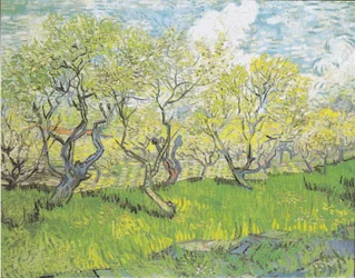 Verger en fleurs
